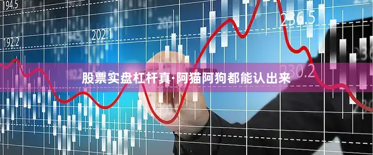 股票实盘杠杆真·阿猫阿狗都能认出来
