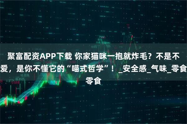 聚富配资APP下载 你家猫咪一抱就炸毛？不是不爱，是你不懂它的“喵式哲学”！_安全感_气味_零食