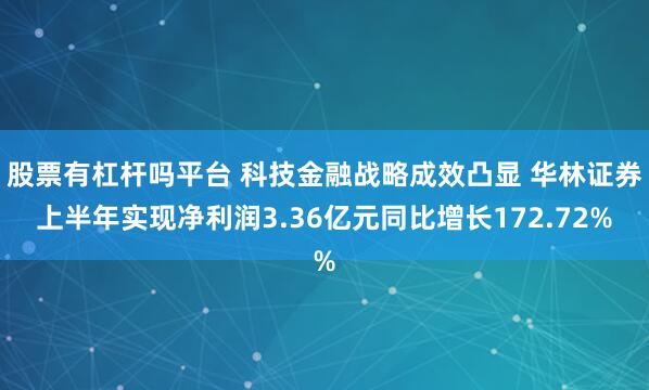 股票有杠杆吗平台 科技金融战略成效凸显 华林证券上半年实现净利润3.36亿元同比增长172.72%